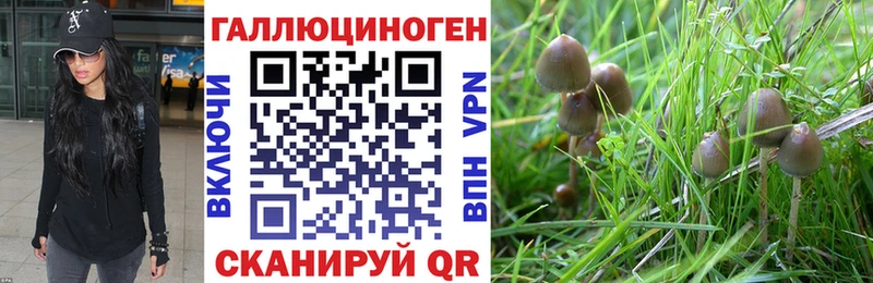 Псилоцибиновые грибы мицелий  Облучье 
