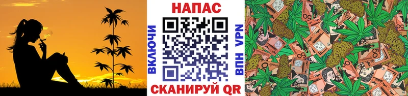цены наркотик  Облучье  Бошки Шишки THC 21% 